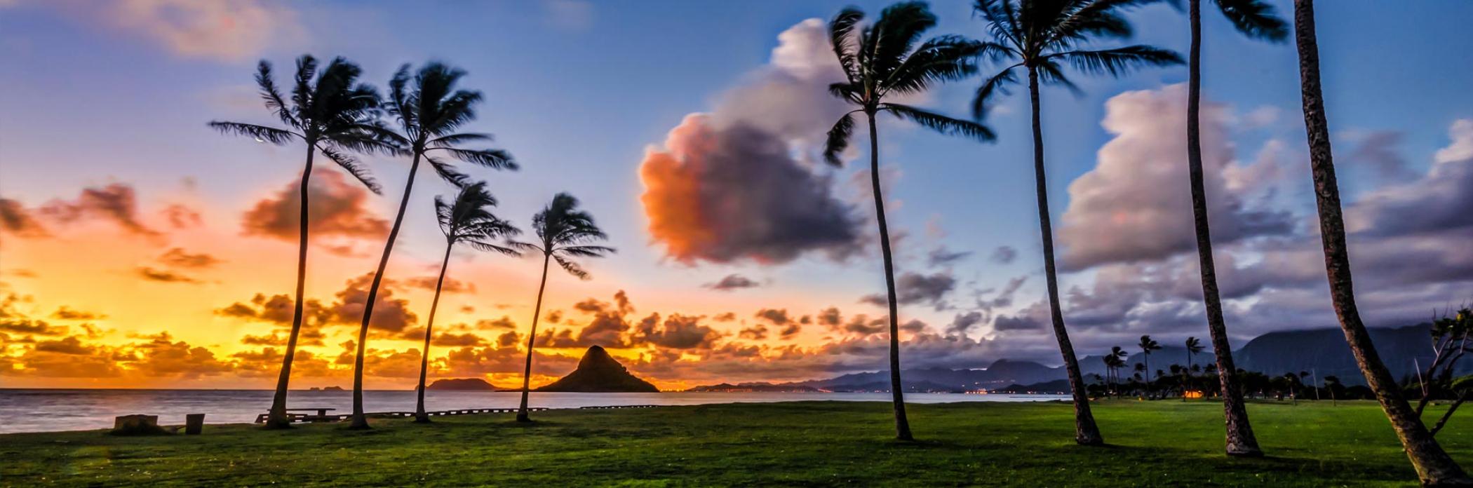 The original Ink BBS ran from a mudhut (As RadMan would put it) in Kapolei, Hawaii. The original Ink BBS ran from a mudhut (As RadMan would put it) in Kapolei, Hawaii.